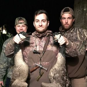 Meet your Posher, Hank